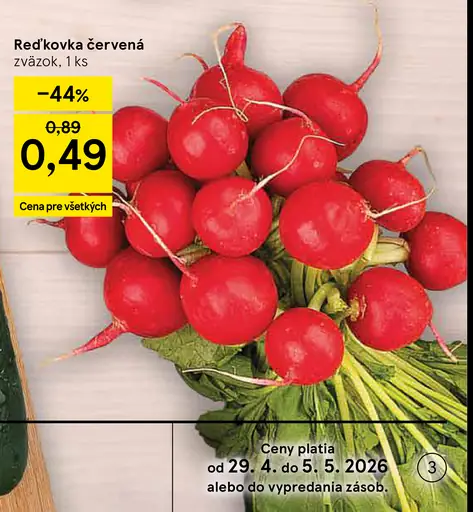 Reďkovka červená zväzok