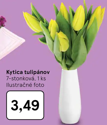 Kytica tulipánov 7-stonková