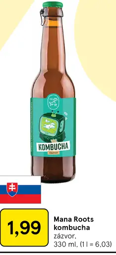 Mana Roots kombucha zázvor
