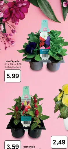 Letničky mix