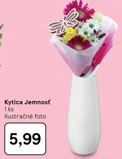 Kytica Jemnosť
