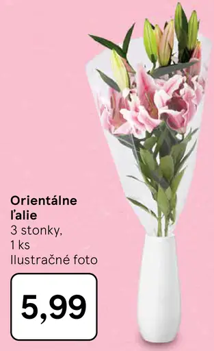 Orientálne ľalie rezané kvety