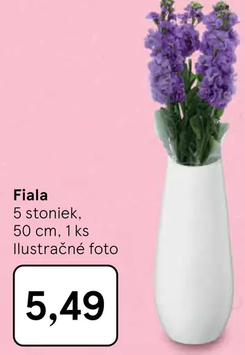 Fiala rezané kvety