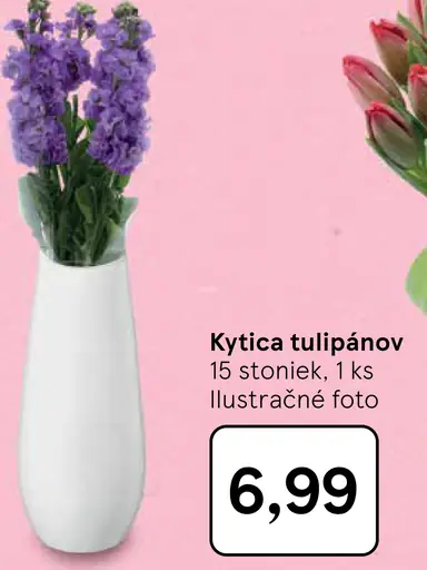 Veľká kytica tulipánov