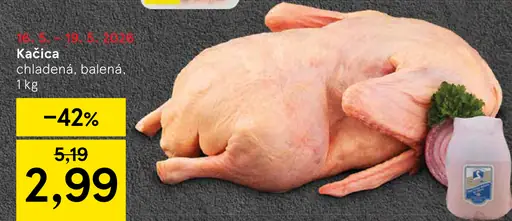 Kačica chladená