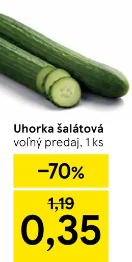 Uhorka šalátová