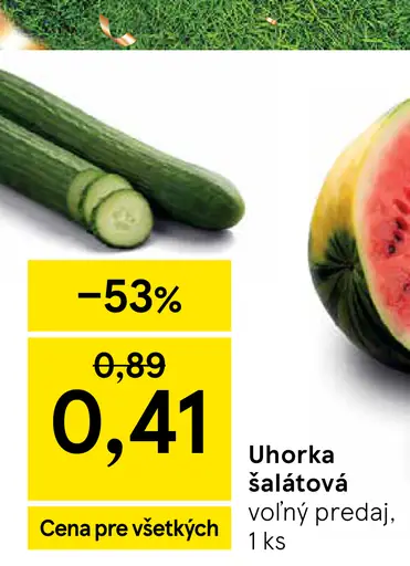 Uhorka šalátová
