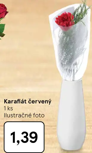 Karafiát červený