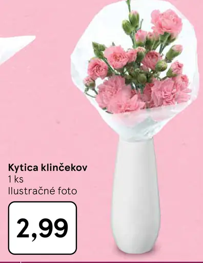 Kytica klinčekov