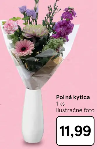 Poľná kytica