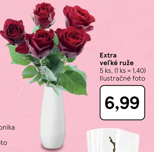 Extra veľké ruže