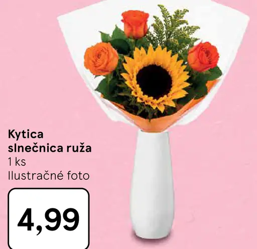 Kytica slnečnica ruža