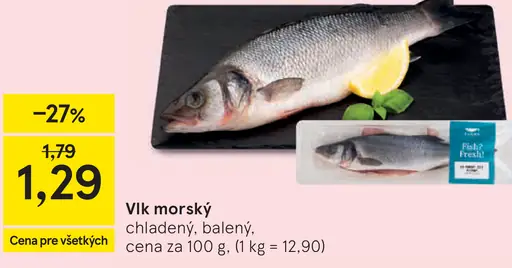 Vlk morský chladený balený