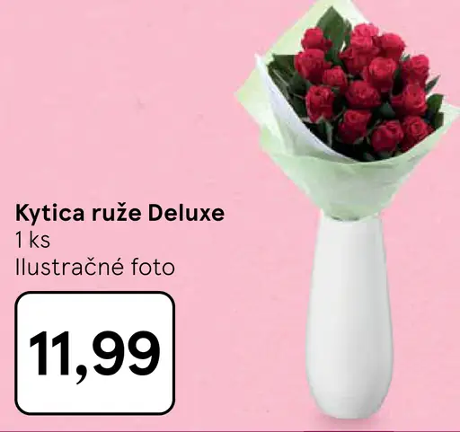 Ruže Deluxe