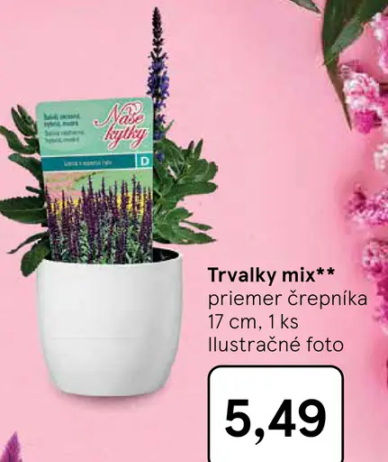 Trvalky mix