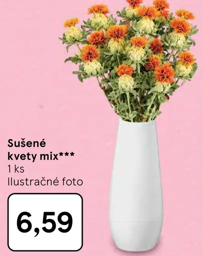 Sušené kvety mix