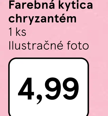 Farebná kytica chryzantém