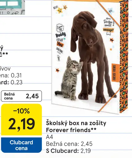 Forever Friends školský box na zošity