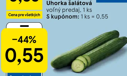 Uhorka šalátová