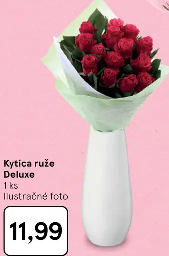 Ruže Deluxe