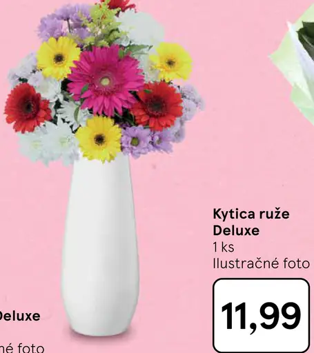 Kytica Deluxe