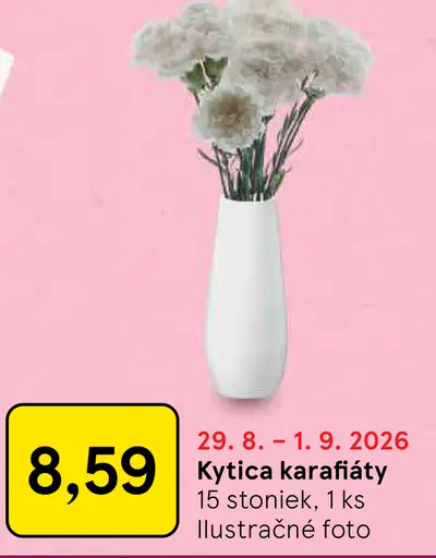 Kytica karafiáty