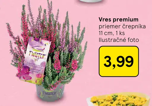Vres premium