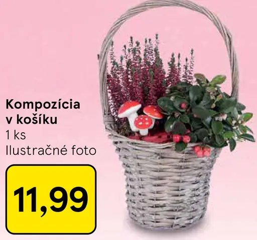 Kompozícia v košíku