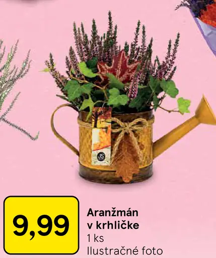Aranžmán v krhličke