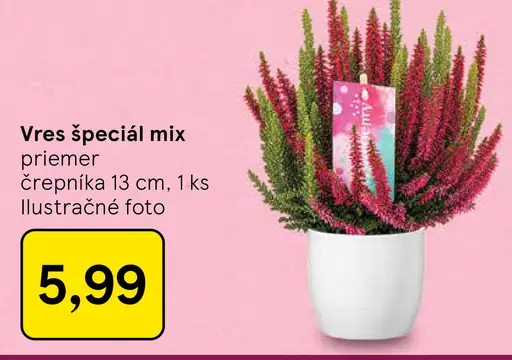 Vres špeciál mix