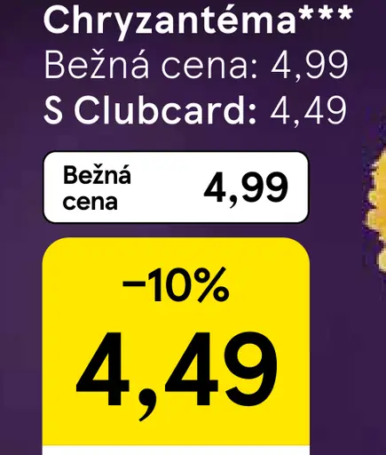 Chryzantéma