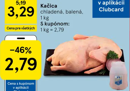 Kačica