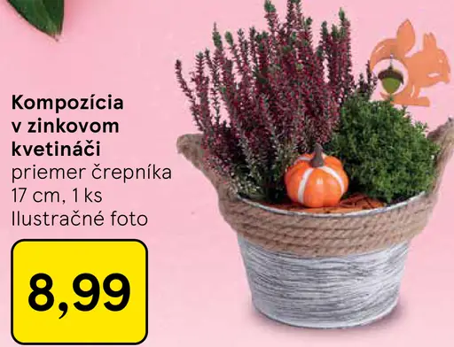 Kompozícia v zinkovom kvetináči