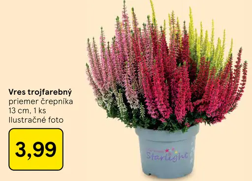 Vres trojfarebný
