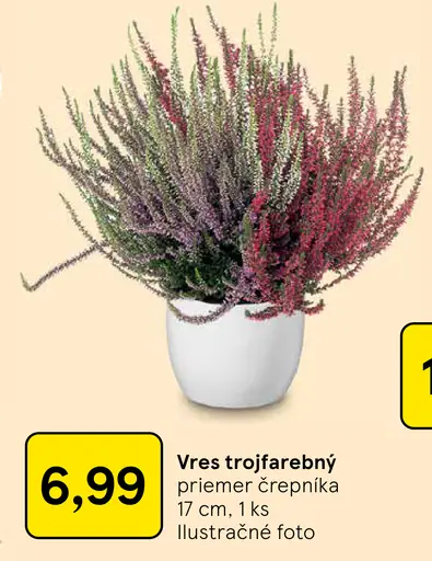 Vres trojfarebný