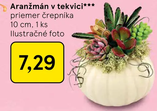 Aranžmán v tekvici