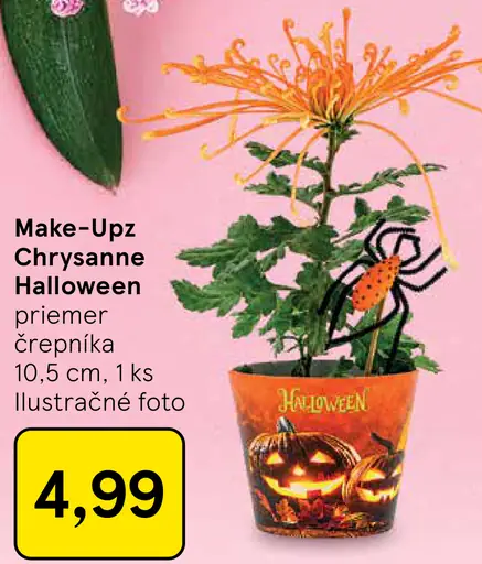 Make-Upz Chrysanne Halloween