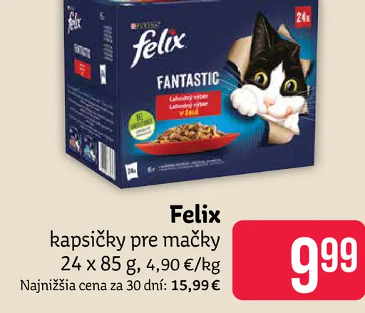 Felix Fantastic kapsičky pre mačky