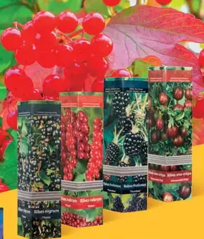 Ovocný / ozdobný krík