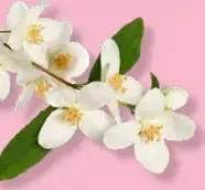 Magnetic figúrka čokoládová s orechami zajač