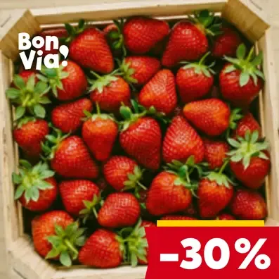 Bon Via jahody v debničke