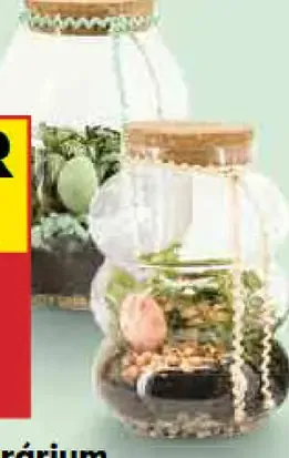 Veľkonočné terárium s fitóniou v skle