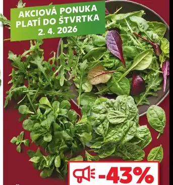 Šalát mix, špenát baby, rukola alebo šalát poľný