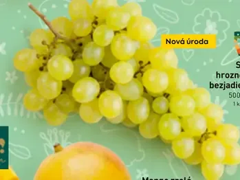 Stolové hrozno biele bezjadierkové