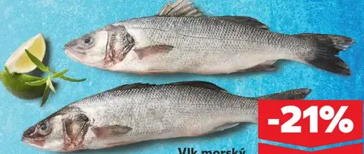 Vlk morský pitvaný pultový predaj