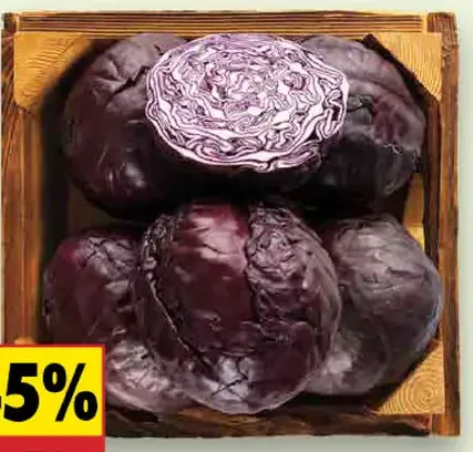 Kapusta červená čerstvá