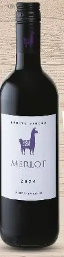 Merlot víno Čile