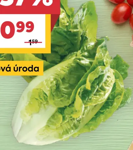 Šalát Little Gem balenie