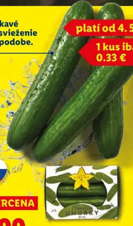 Slnečné záhrady miniuhorky