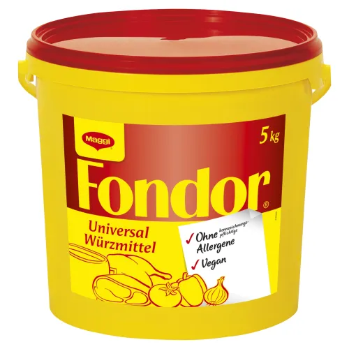 MAGGI Fondor ochucovadlo